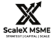 ScaleX MSME & NewGen Biz